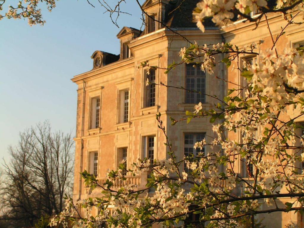 Chateau De La Haye Bed and Breakfast Contigné Buitenkant foto