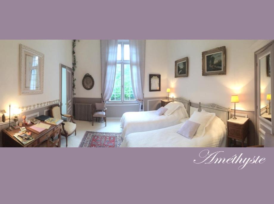 Chateau De La Haye Bed and Breakfast Contigné Buitenkant foto